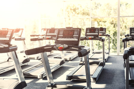 Collection of Treadmills in a Gym During Bright Daylight Hours
