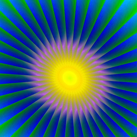 Flower in the sun - Flower as the sun, the sun like a flower の写真素材