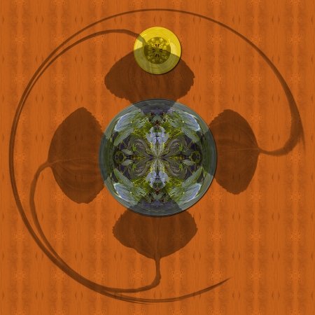 Image in his appearance evokes a wall from wood, with carved  pattern  The wall it is a decorated with two objects in disc-shaped  that, contain motifs of flowers and vegetation  In this whole image dominate four the shadows from birch leaves の写真素材