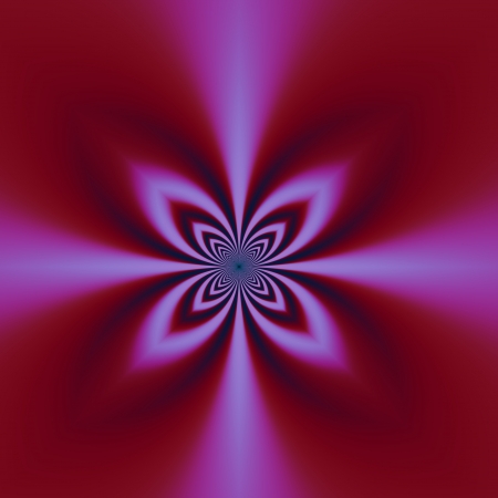 The fluorescing cross - Flower in this figure has the shape of a cross  Four rays and four petals, have point of intersection in the middle of the picture の写真素材