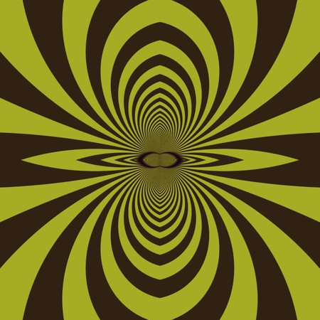 The spider from fractal - The  pattern of fractal, which is similar on a spider, and also at the same time on the magnetic field line.の写真素材