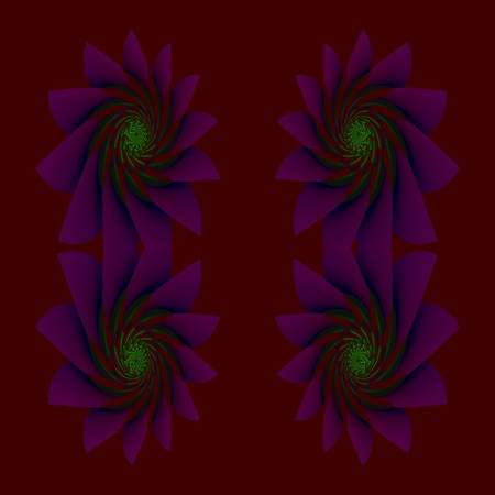 The purple chrysanthemums - In the picture are abstract flowers, which resemble for purple-red chrysanthemums.の写真素材