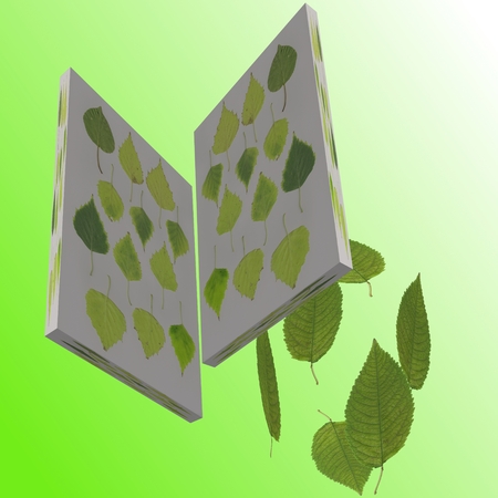 Herbarium - In the figure are two objects having the shape of plates. On the surface of these plates are placed birch foliage. Against the background of this picture are flying cherry leaves.の写真素材