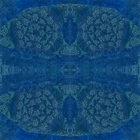 Intelligent corals: This image is arranged symmetrically and creates the illusion of the world underwater. As if there any intelligent corals have built their underwater city.の写真素材