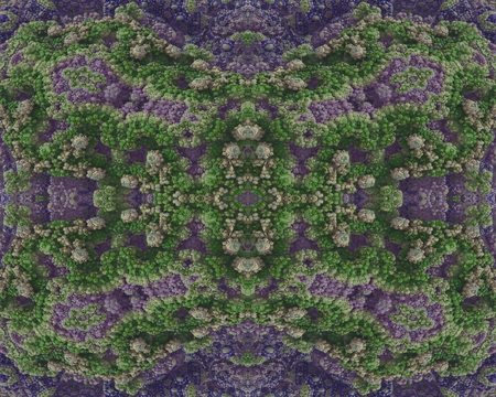 The crystalline flowerbeds: This image has a symmetrical structure, which has the appearance of rocky embossment. The embossment is arranged into dissected and in colored texture  in the form stone flowers.の写真素材