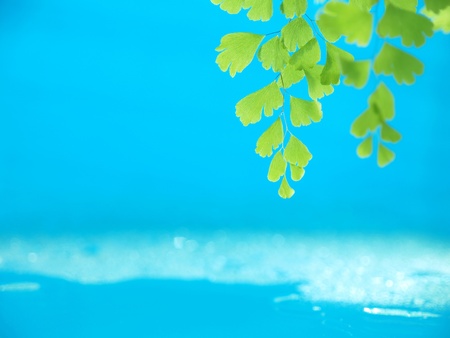 green and waterの写真素材