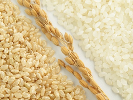 japonica riceの写真素材