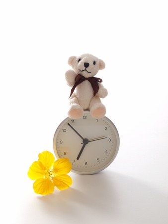 teddy bear, clock, and flowerの写真素材