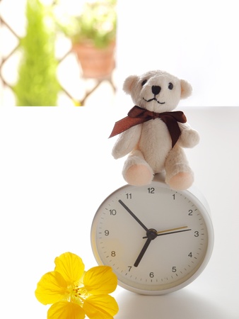 teddy bear, clock, and flowerの写真素材