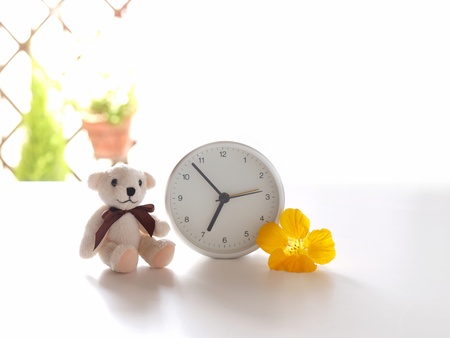 teddy bear, clock, and flowerの写真素材