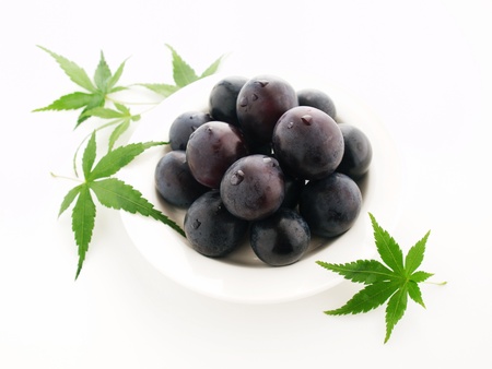 grape and mapleの写真素材