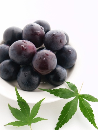 grape and mapleの写真素材