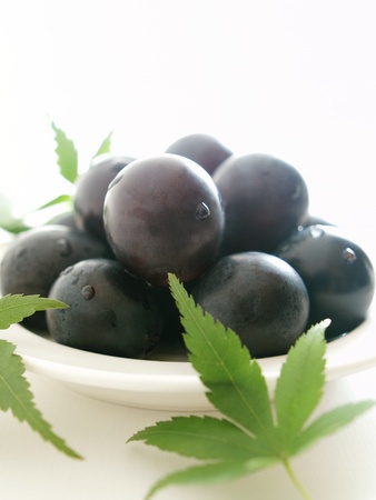 grape and mapleの写真素材