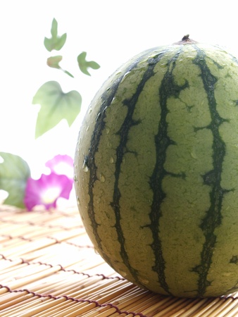 watermelon and morning gloryの写真素材