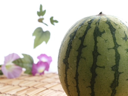 watermelon and morning gloryの写真素材