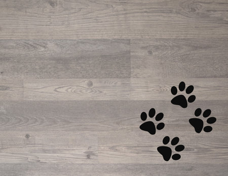 Wooden floor texture with paw prints pet animal with copy space for the text.の写真素材