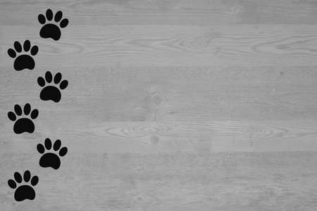 Animal track paw prints on a wooden texture background with copy space for text and design.の写真素材