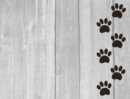 Animal paw prints on a wooden boards texture background with copy space for the text.の写真素材