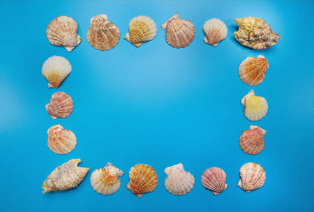 Seashell frame on a blue surface natural see travel background banner design template.の写真素材