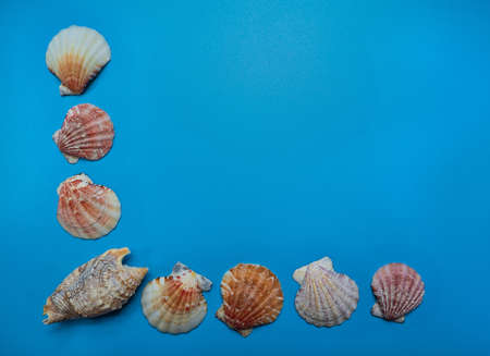 Sea frame border corner made of seashells on a blue marine background design template with an empty space for text.の写真素材
