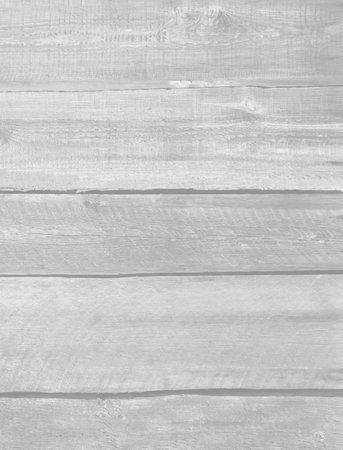 Wooden old bleached boards texture for backgrounds, backdrops, design.の写真素材