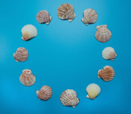 Round marine frame border made of seashells on a blue background design template with an empty space for text.の写真素材
