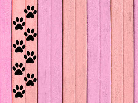 Black animal paw prints on a pink boards wooden background.の写真素材