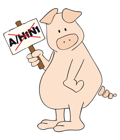 Vector: This is a pig with A/H1N1 placard in the hand.のイラスト素材