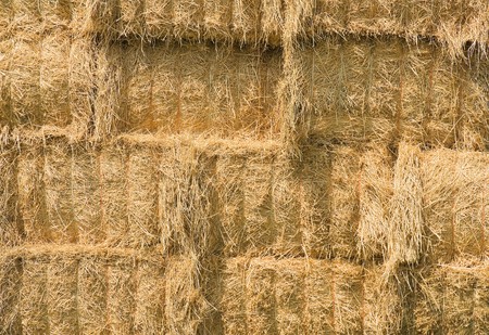Close up of yellow hay bales.の写真素材