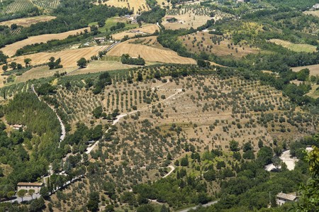 Landscape of agricultural field.の写真素材