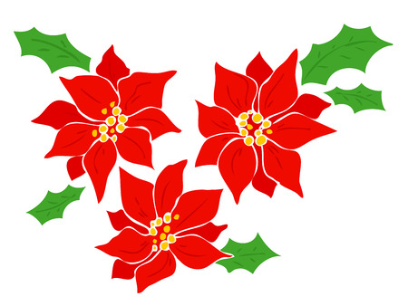Poinsettia.のイラスト素材