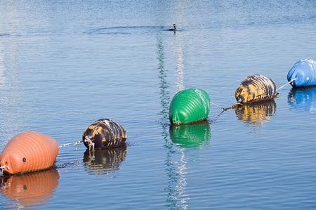 Buoys row floating.の写真素材