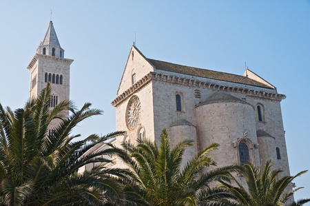Cathedral. Trani. Apulia.の写真素材