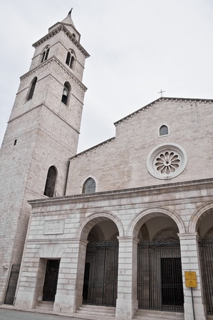 Cathedral. Andria. Apulia.の写真素材