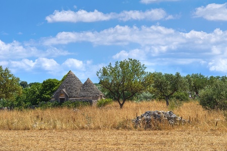 Trullo in countryside. Noci. Puglia. Italy.の写真素材