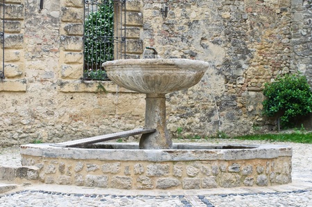 Historical fountain  Castellarquato  Emilia-Romagna  Italy の写真素材