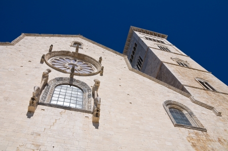 Cathedral of Trani. Puglia. Italy.の写真素材