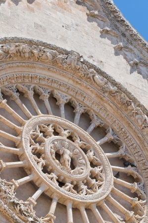 Cathedral of Ostuni. Puglia. Italy.の写真素材