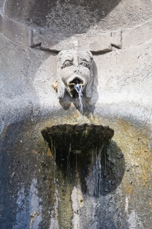 Historical fountain  Caprarola  Lazio  Italy の写真素材