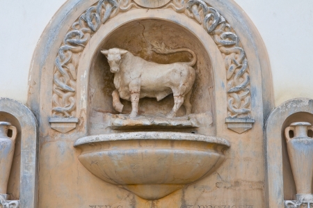 Fountain of the taurus  Nardò  Puglia  Italy の写真素材