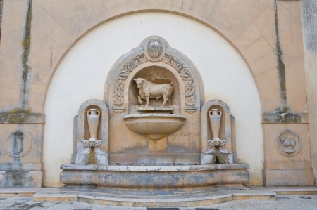 Fountain of the taurus  Nardò  Puglia  Italy の写真素材