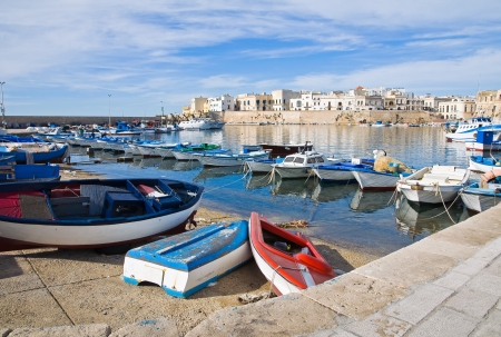 Panoramic view of Gallipoli. Puglia. Italy.のeditorial素材