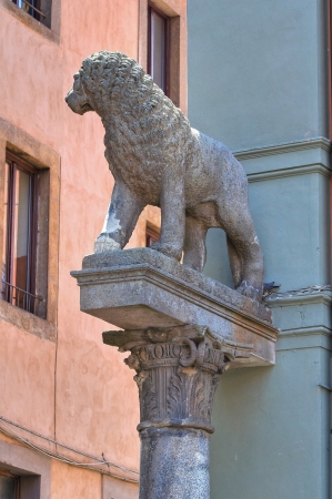 Town hall building  Viterbo  Lazio  Italy の写真素材