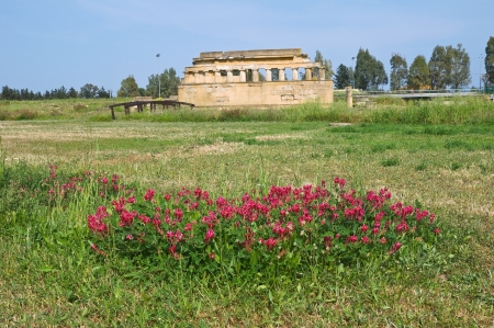 Archaeological Park. Metaponto. Basilicata. Italy.の写真素材