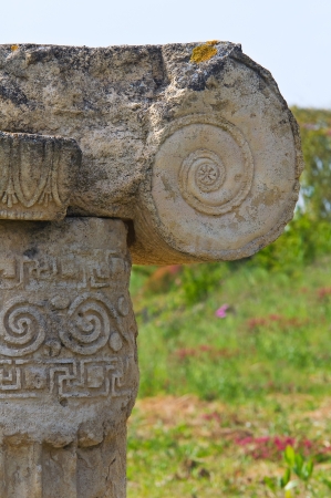 Archaeological Park  Metaponto  Basilicata  Italy の写真素材