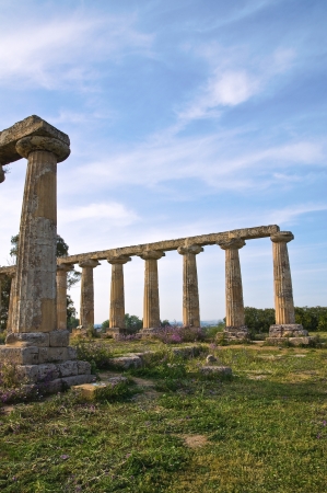 Tavole Palatine. Metaponto. Basilicata. Italy. の写真素材