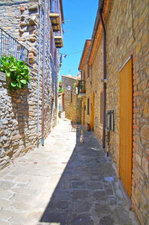 Alleyway. Guardia Perticara. Basilicata. Italy.の写真素材