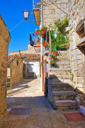 Alleyway. Cancellara. Basilicata. Italy.のeditorial素材