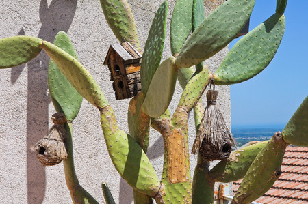 View of Rocca Imperiale. Calabria. Italy.の写真素材