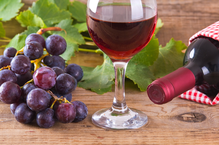 Grapes.の写真素材
